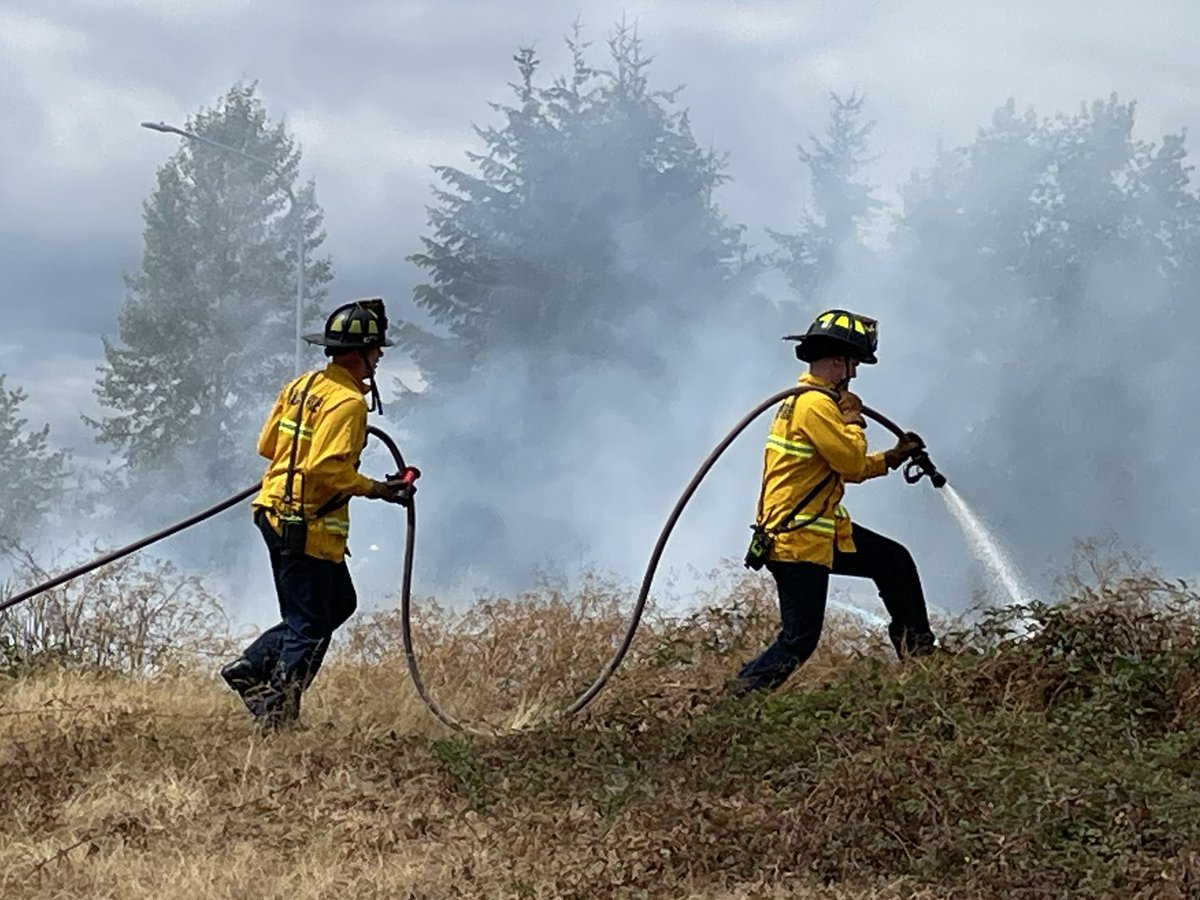 LFD3 units on scene of a quick moving grass fire. Median of I-5 just south of Marvin Road overpass. Visibility across I-5 is limited.  