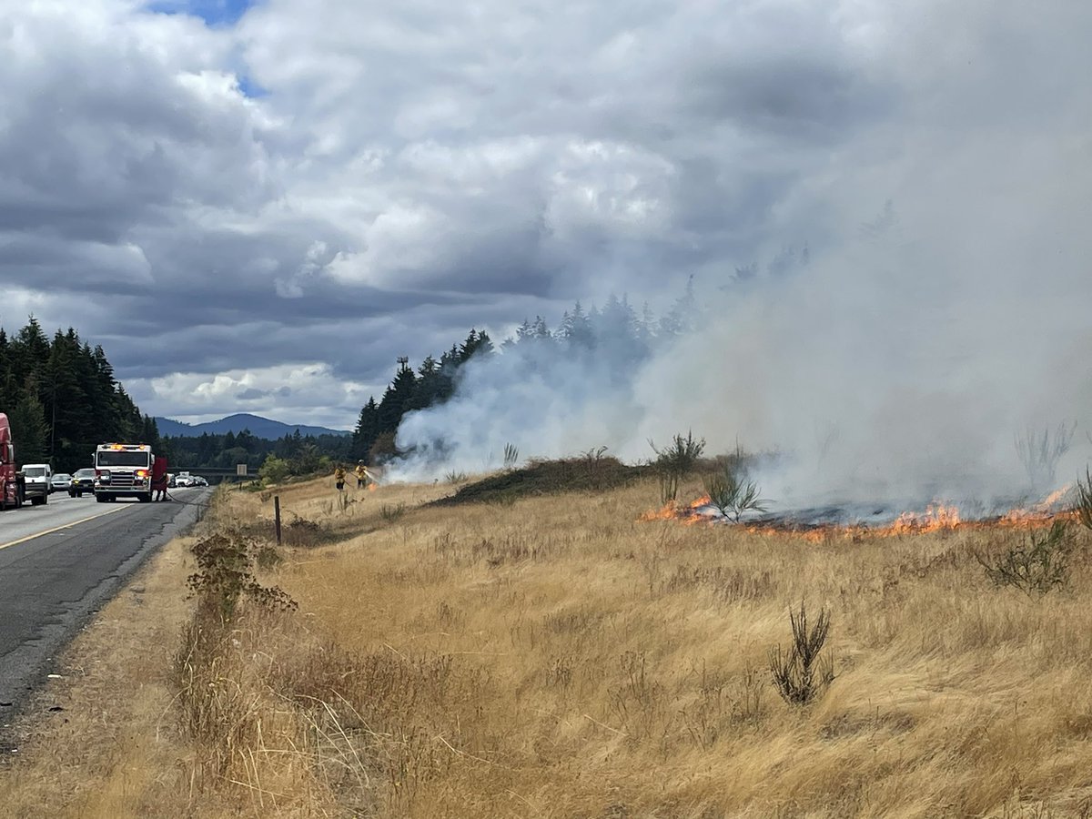 LFD3 units on scene of a quick moving grass fire. Median of I-5 just south of Marvin Road overpass. Visibility across I-5 is limited.  