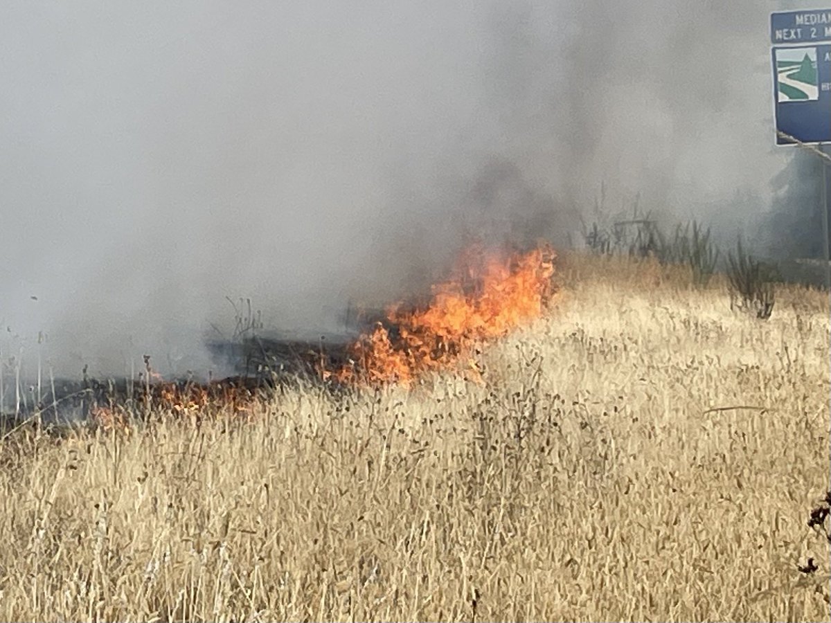 LFD3 units on scene of a quick moving grass fire. Median of I-5 just south of Marvin Road overpass. Visibility across I-5 is limited.  