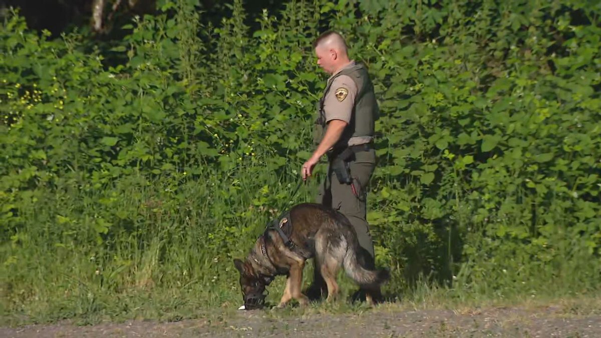 @KitsapCoSheriff just captured homicide suspect Laird Dinsmore after a manhunt near Snider Park in Poulsbo. Deputies said there were shots fired near the park's  baseball field earlier tonight, but the gunfire didn't come from law enforcement