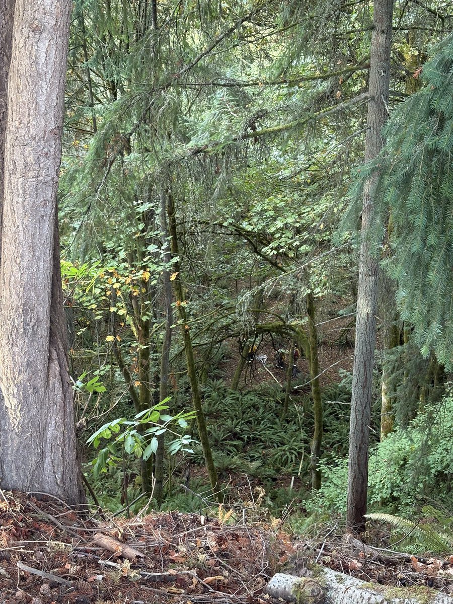 3200 blk N Narrows Dr, - TFD responded to a reports of a smoldering fire in the wooded gulch in that area. Firefighters faced the challenge of gaining access to the deep, wooded area & getting water to the tough-to-access area.