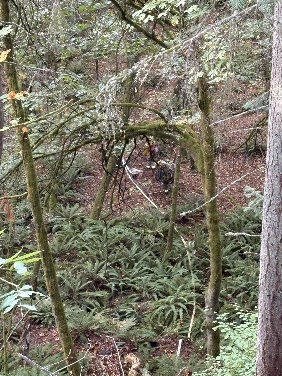 3200 blk N Narrows Dr, - TFD responded to a reports of a smoldering fire in the wooded gulch in that area. Firefighters faced the challenge of gaining access to the deep, wooded area & getting water to the tough-to-access area.  